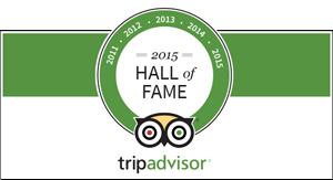 TripAdvisor HallofFame for Cayman Islands Horseback Riding Tours