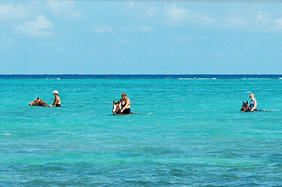 horseback bareback swimming in Grand Cayman